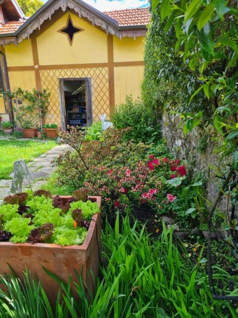 Ca Balossa, Tremezzina Lago Di Como Davanti A Bellagio E Villa Balbianello Меццегра Экстерьер фото